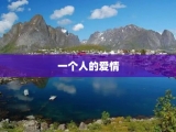 一个人的爱情