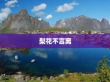 梨花不言离