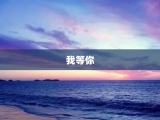 我等你