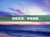 深情似海，守你倾城