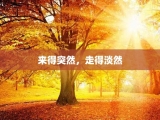 来得突然，走得淡然