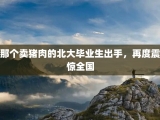 那个卖猪肉的北大毕业生出手，再度震惊全国