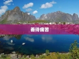 善待痛苦
