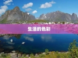 生活的色彩