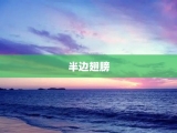 半边翅膀