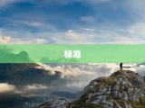 标准