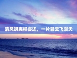 清风飒爽柳姿还，一片轻云飞漫天