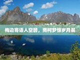 梅边寄语人空醉，南柯梦惊岁月晨