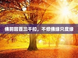 佛前回首三千扣，不修佛缘只度缘