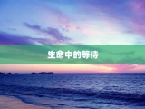 生命中的等待