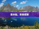 是水仙，总会绽放