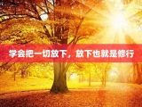 学会把一切放下，放下也就是修行