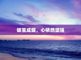 破茧成蝶，心依然坚强
