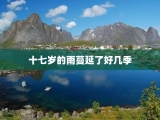 十七岁的雨蔓延了好几季