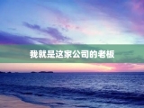 我就是这家公司的老板