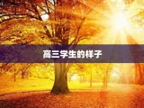 高三学生的样子