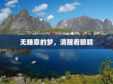 无睡意的梦，清醒着眼睛