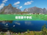 很想要干手机