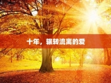 十年，辗转流离的爱
