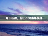 月下彷徨，你已不复当年模样
