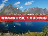 我没有活在回忆里，只是偶尔想起你