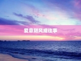 爱意随风成往事