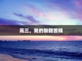 高三，我的酸甜苦辣