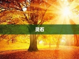 灵石