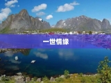 一世情缘