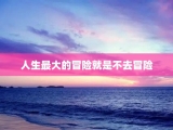人生最大的冒险就是不去冒险