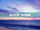 执子之手，与子偕老