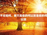 不论如何，我只是你的何以玫是你的何以玫