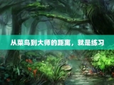 从菜鸟到大师的距离，就是练习