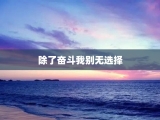 除了奋斗我别无选择