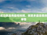 成功就是用最短时间，做更多最容易的事情