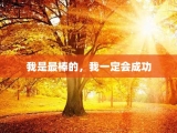 我是最棒的，我一定会成功