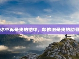 你不再是我的铠甲，却依旧是我的肋骨