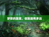 梦想的距离，你到底有多远