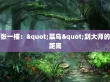 张一楠："菜鸟"到大师的距离
