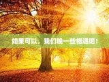 如果可以，我们晚一些相遇吧！