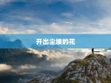 开出尘埃的花