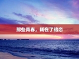 那些青春，耗在了暗恋