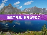 说惯了再见，就再也不见了