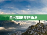 风中凋谢的青春和生命
