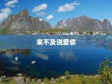 来不及说爱你