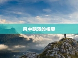 风中飘落的相思