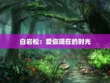 白岩松：爱你现在的时光