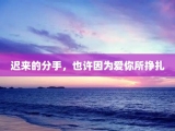 迟来的分手，也许因为爱你所挣扎