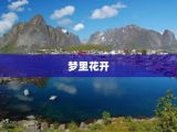 梦里花开