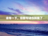 请等一下，你那句话伤到我了